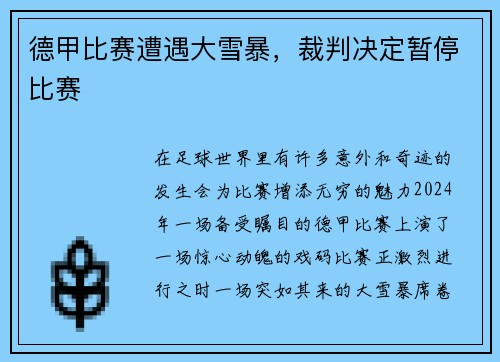 德甲比赛遭遇大雪暴，裁判决定暂停比赛