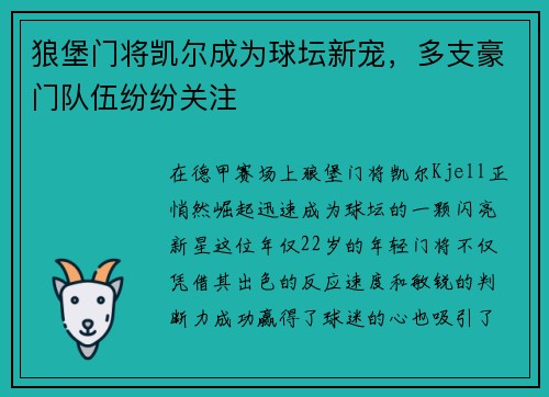 狼堡门将凯尔成为球坛新宠，多支豪门队伍纷纷关注